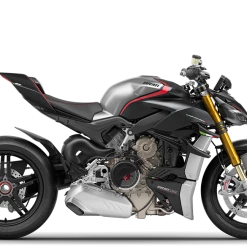 Streetfighter V4 SP (MY22) - Ducati Winter Test Livery