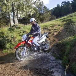 XR150L (MY18) - Honda Fighting Red -Bikes popular shop HO XR150L MY18 1 5